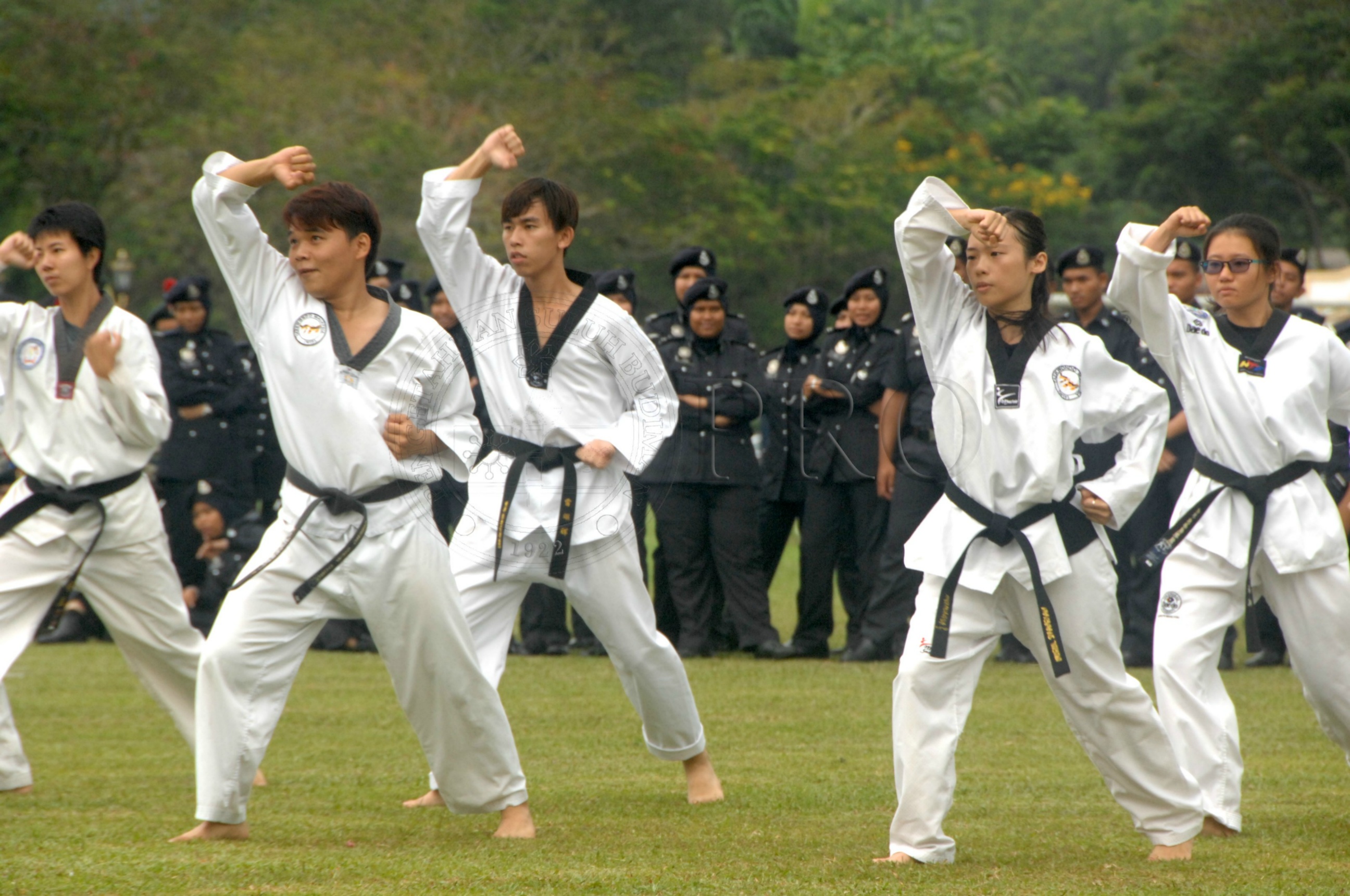 PRO 14 43 KKO IDA 0993